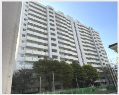  2024Ÿ68176    34, 311 151507ȣ (Ͼȵ,ְƮ)    Ʈ