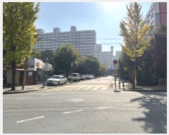  2024Ÿ68176    34, 311 151507ȣ (Ͼȵ,ְƮ)    Ʈ