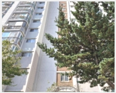  2024Ÿ68176    34, 311 151507ȣ (Ͼȵ,ְƮ)    Ʈ