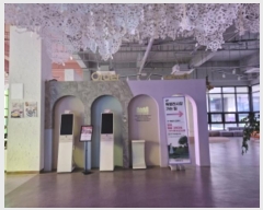  2024Ÿ70247   źϼѷ 10, 2239ȣ (յ,ȭƼ̸ް)     ,繫ǰ