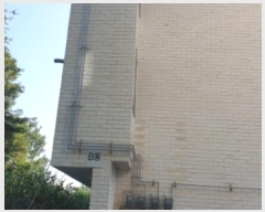  2024Ÿ3759  Ȼ ϱ ǰǷ 131-1,  5501ȣ    ټ,