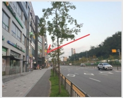  2024Ÿ4288   ɰ 11, 3304ȣ (,Ÿ)     ,繫ǰ