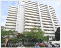  2024Ÿ��52188  ����Ʈ���