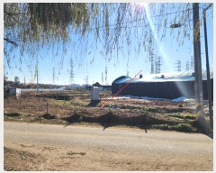  2024Ÿ��67388 ��� ����� �Ÿ� 43       ����(��1)���