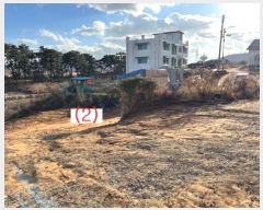  2024Ÿ��70568  �ٰ������ð��