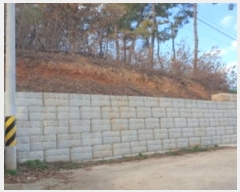  2024Ÿ5557  Ȼ ܿ γ 356-47      (Ӿ)