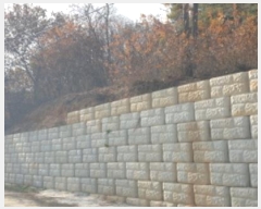  2024Ÿ5557  Ȼ ܿ γ 356-47      (Ӿ)