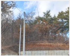  2024Ÿ5557  Ȼ ܿ γ 356-47      (Ӿ)