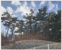  2024Ÿ5557  Ȼ ܿ γ 356-47      (Ӿ)