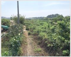  2024Ÿ��65795  ���Ű��