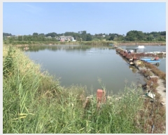  2024Ÿ��65795  ���Ű��