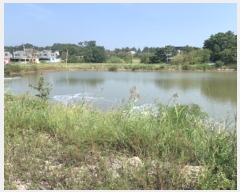  2024Ÿ��65795  ���Ű��