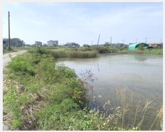  2024Ÿ��65795  ���Ű��