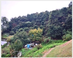  2024Ÿ68039  Ȼ ϱ ǰǵ 55-1      (Ӿ)