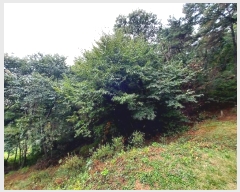  2024Ÿ68039  Ȼ ϱ ǰǵ 55-1      (Ӿ)