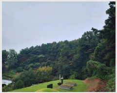  2024Ÿ68039  Ȼ ϱ ǰǵ 55-1      (Ӿ)