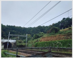  2024Ÿ68039  Ȼ ϱ ǰǵ 55-1      (Ӿ)