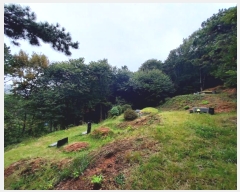  2024Ÿ68039  Ȼ ϱ ǰǵ 55-1      (Ӿ)