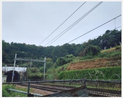  2024Ÿ68039  Ȼ ϱ ǰǵ 55-1      (Ӿ)