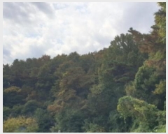  2024Ÿ68039  Ȼ ϱ ǰǵ 55-1      (Ӿ)