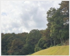  2024Ÿ68039  Ȼ ϱ ǰǵ 55-1      (Ӿ)