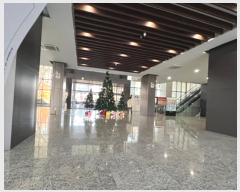  2024Ÿ71578    67, 191903ȣ (,Ÿ)     Ʈ