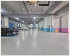  2024Ÿ��6215  ����Ʈ��������