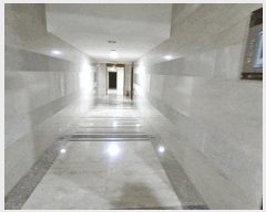  2024Ÿ��60431  �����ü����