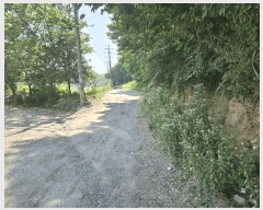  2024Ÿ��60431  �����ü����