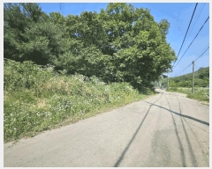  2024Ÿ��60431  �����ü����