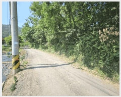  2024Ÿ��60431  �����ü����