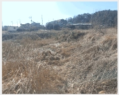  2024Ÿ��69421 ��� �Ȼ�� �ܿ��� ��γ��� 189-3      �������