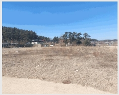  2024Ÿ��69421 ��� �Ȼ�� �ܿ��� ��γ��� 189-3      �������