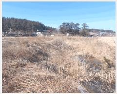  2024Ÿ��69421 ��� �Ȼ�� �ܿ��� ��γ��� 189-3      �������