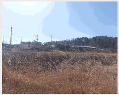  2024Ÿ��69421 ��� �Ȼ�� �ܿ��� ��γ��� 189-3      �������