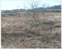  2024Ÿ��69421 ��� �Ȼ�� �ܿ��� ��γ��� 189-3      �������