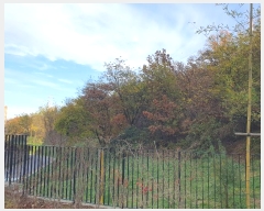  2024Ÿ70223    84       (Ӿ)