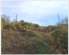  2024Ÿ70223    84       (Ӿ)