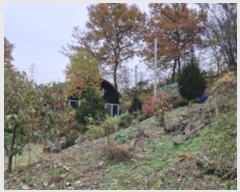  2024Ÿ70223    84       (Ӿ)