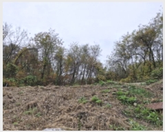  2024Ÿ70223    84       (Ӿ)