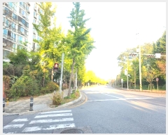  2024Ÿ��4752  ����Ʈ���