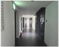  2024Ÿ68596   з264 50, ̵ 202012ȣ (յ,츮ũν2)    ǽڰ