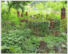  2024Ÿ1430  Ⱦ ȱ Ⱦ絿 1126      ٸü,󰡰