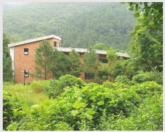  2024Ÿ1430  Ⱦ ȱ Ⱦ絿 1126      ٸü,󰡰