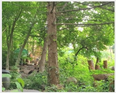  2024Ÿ1430  Ⱦ ȱ Ⱦ絿 1126      ٸü,󰡰