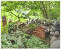  2024Ÿ1430  Ⱦ ȱ Ⱦ絿 1126      ٸü,󰡰