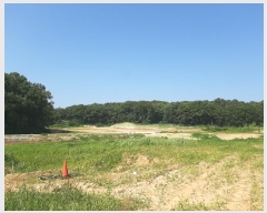  2024Ÿ��104933 ��� �ǿս� ���ϵ� 138-1       ����(�Ӿ�)���