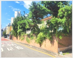  2024Ÿ��107628  ���ð��