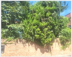  2024Ÿ��107628  ���ð��