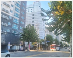  2024Ÿ108638  Ⱦ ȱ ȷ 49, 1111ȣ (Ⱦ絿,ȣŸ(ȣǽ))    ,繫ǰ